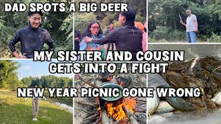 New Year Picnic Vlog | Family picnic