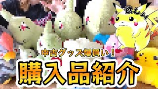 【購入品紹介】ポケモンの中古グッズいっぱい買ってみた！【初代(初期)ピカチュウぬいぐるみを求めて】