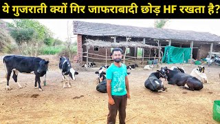 इस गुजराती ने क्यों HF गाय से डेयरी फार्म शुरू किया? HF Cows Dairy Farm Bhavnagar Gujarat India