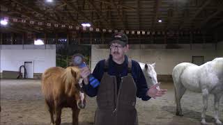 Max Nafe Horsemanship 578 How Angle Grider Trimming Works