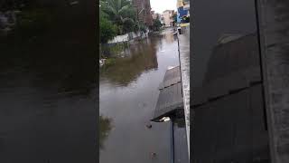 Chennai flood rain - 11 November 2021 -1