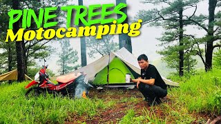 Raw Motocamping in the forest