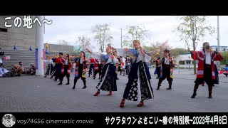 【シネスコ】この地へ〜・みんなで踊ろう／サクラタウンよさこい2023~春の特別祭~Day1