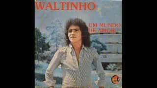 WALTINHO - Um mundo de amor