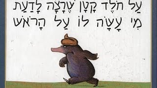 על חלד קטן שרצה לדעת מי עשה לו על הראש