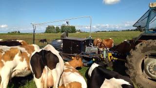 Pasture based milking in the Netherlands