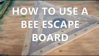 How To Use a Bee Escape Board (Beekeeping Tips)