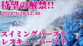 待望のスイミングバースト\u0026レスキューバースト解禁!! 鴨川シーワールド シャチショー KamogawaSeaWorld  orca killerwhale