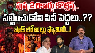 పుష్ప 2 పట్టించుకోని సినీ పెద్దలు | Pushpa 2 All Time Record Collections In North | Wild Wolf Telugu