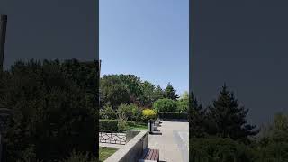 公園放風箏的老者1120518 142430