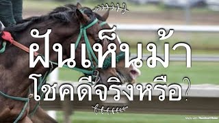 EP 33: ฝันเห็นม้า ทำนายว่าอย่างไร เลขเด่น เป็นมงคล คืออะไร?!?