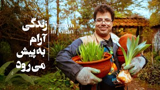 پرسه پاییزی در روستا: به تماشای خوابِ درختان| Gilan's Village Life in Autumn