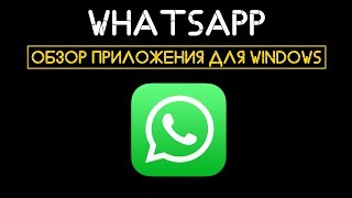 Обзор приложения WhatsApp для Windows