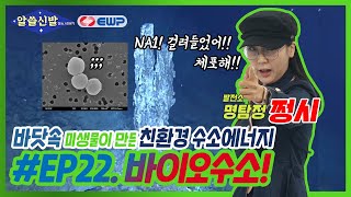 [알쓸신발] EP.22 일산화탄소 주면 '수소’ 내뱉는 그 녀석😎… 미생물 \