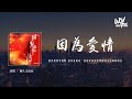 覆予,歪歪超 - 因为爱情 (说唱版)(原唱：陈奕迅&王菲)「因为爱情会提醒 爱你是使命，还有好多答应要和你未完成的约定」(4k Video)【動態歌詞/pīn yīn gē cí】#覆予 #歪歪超