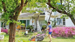 50대 전원생활 잔디 마당 관리| 개들이 뛰어노는 마당이라 더 신경쓰는 산속 시골 주택 잔디 관리 vlog| 써니네tv