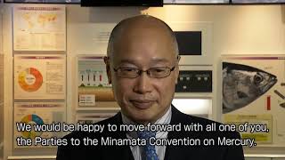 Messages from Minamata for the Minamata Convention COP2