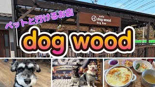 住宅会社がやってるペットに優しいdogcafe　いわき市鹿島町cafe dogwood 　【ペットと行けるお店】