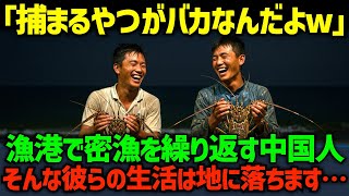 【海外の反応】「捕まるやつがバカなんだよw」漁港で夜な夜な密漁を繰り返す中国人。そんな彼らの生活は、ついに地に落ちます…