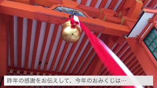 【動画No.0598】伏見稲荷☆今年のおみくじは⁉️