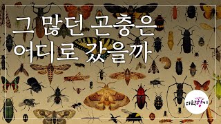 [KISTI의 과학향기] 곤충이 사라지고 있다!