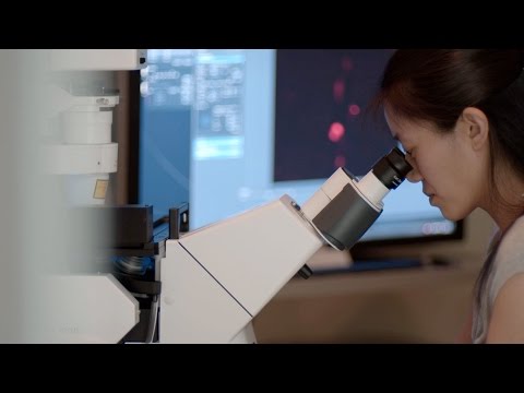 How does biology relate to science?