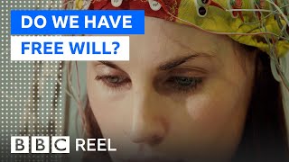 The strange neuroscience of free will - BBC REEL
