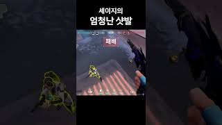 세이지의 엄청난 샷발