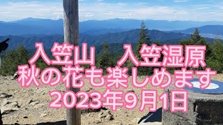 入笠山　入笠湿原　秋の花🌸も楽しめます。 2023年9月1日