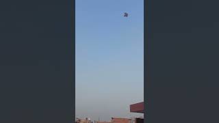 Kite Flying #kite #kites #kiteflying #kitecatching #patang #shorts #shortsvideo #viralvideo #viral