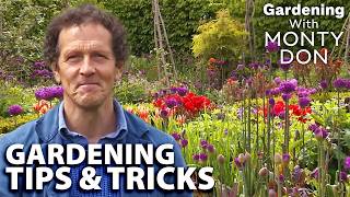 Monty Don's Secret Planting Trick To Help Transform Your Garden! 🌷 | SEASON 3 | Gardener's World