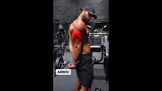 ARMS WORKOUT