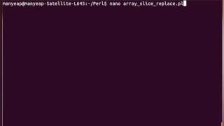 Perl Slice and Replace Example