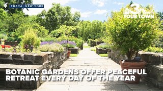 Cornell Botanic Gardens offers acres of nature's beauty year-round
