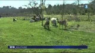 Le site naturel des Neuf Fontaines à Bostens