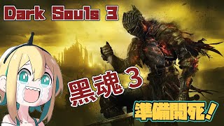 【Amano Pikamee】Pikamee Dark Souls 3 - clip by wow?  [EN]【VOMS Clips】