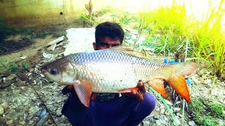 River Fishing Catching Sri Lanka !!!! ගඟේ ලොකු මාළු අල්ලන හැටි වීඩියෝ !!! Fishing With Suresh