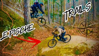 Epische MTB Trails im Pfälzerwald – Adrenalin pur auf dem Mountainbike