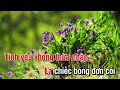 karaoke tình nhân tote nữ hồng phượng nhạc sống phương hiếu organ