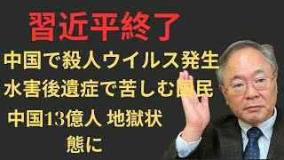 【C国 地獄絵図】中国で新たなウイルスが発生し、習近平も隠蔽しきれず中華国民が大混乱している理由#533　【海外の反応】習近平　高橋洋一　青山繁晴