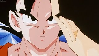 Goku Shuts Vegeta Up