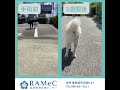 ワンちゃんの膝の靭帯断裂に非常に有効な手術！we can do tplo surgery for dog s knee ligament raptures shorts