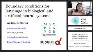 Boundary conditions for language in biological and artificial neural systems