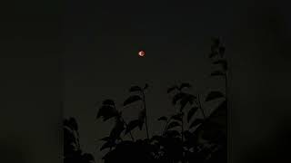 Red moon light