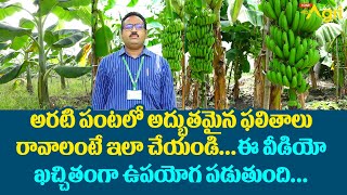 Arati Thota | Banana Farming | అరటి పంటలో అద్భుతమైన ఫలితాలు రావాలంటే ఇలా చేయండి... Tone Agri