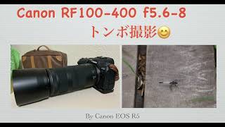 Canon RF100-400 f5.6-8 IS USMのAF