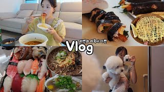 [먹방vlog] 라면과 라죽이 다한 일상속 특별함 _ 진라면 매운맛+해장쌀국수+집김밥+애견동반 태국음식+냉모밀+모둠초밥+김육삼