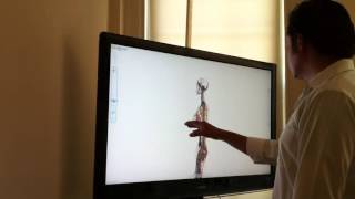 Kinect-driven interface to human model (from chrome experiments)