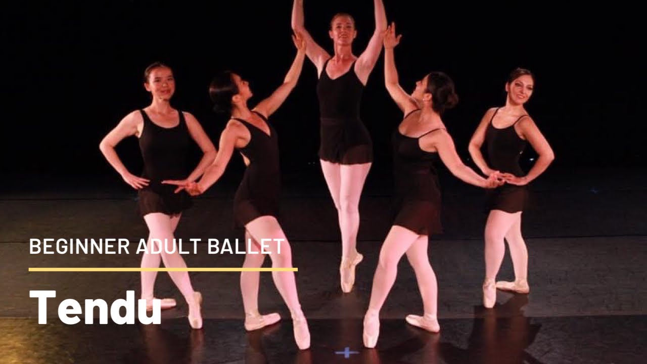 Tendu, Beginner Adult Ballet, Live Zoom Online Ballet Class Demo - YouTube