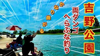 釣りガールが茨城県吉野公園でへらぶな釣り【両ダンゴ宙釣り】